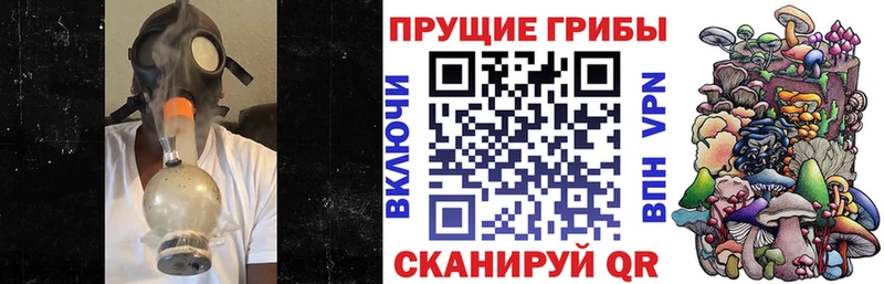 Галлюциногенные грибы MAGIC MUSHROOMS  цена   Удачный 